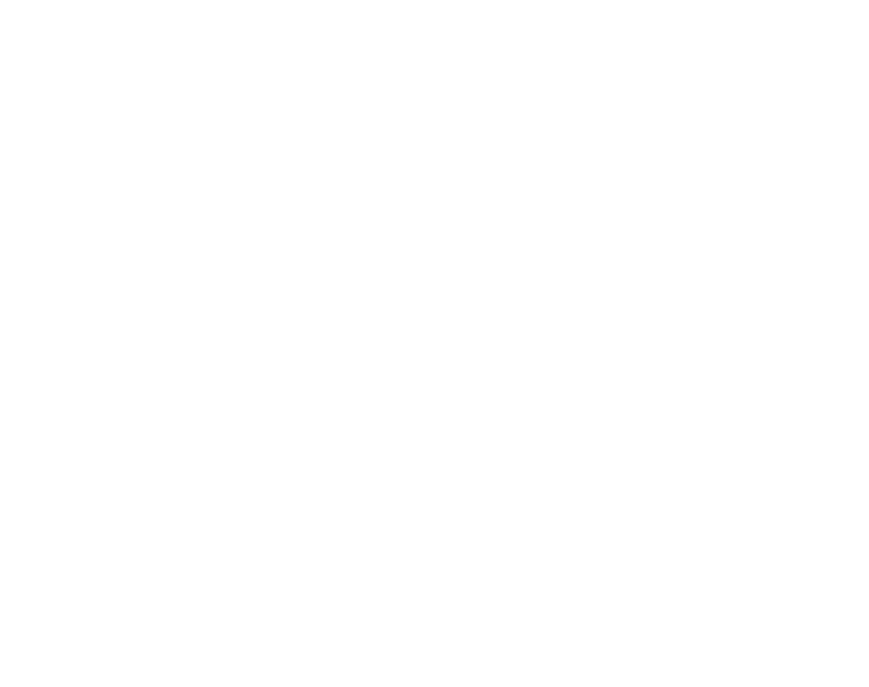 10 règles à suivre pour adopter un chien adulte VETINPARIS VETINPARIS